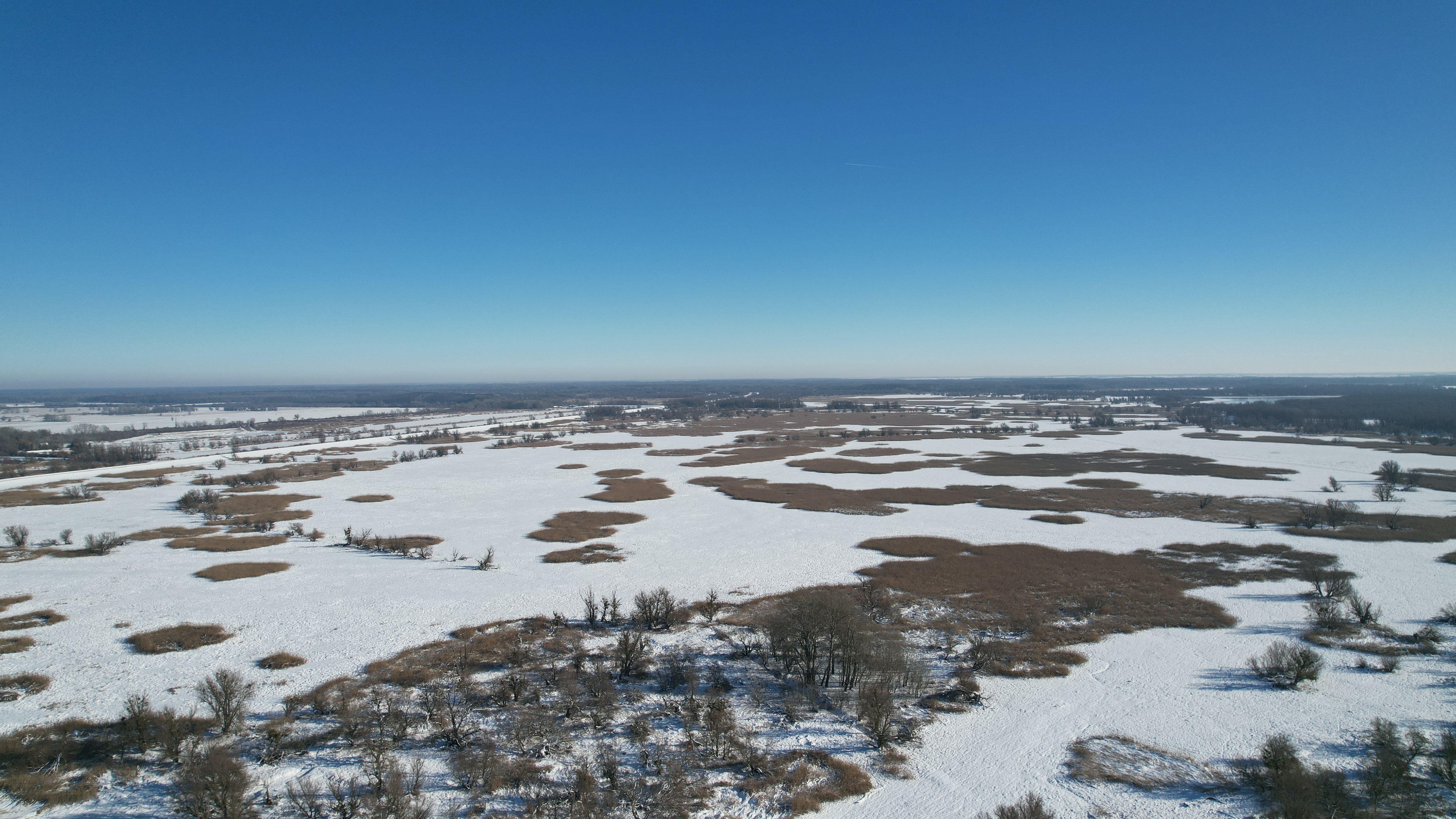 Svjetski dan vlažnih staništa