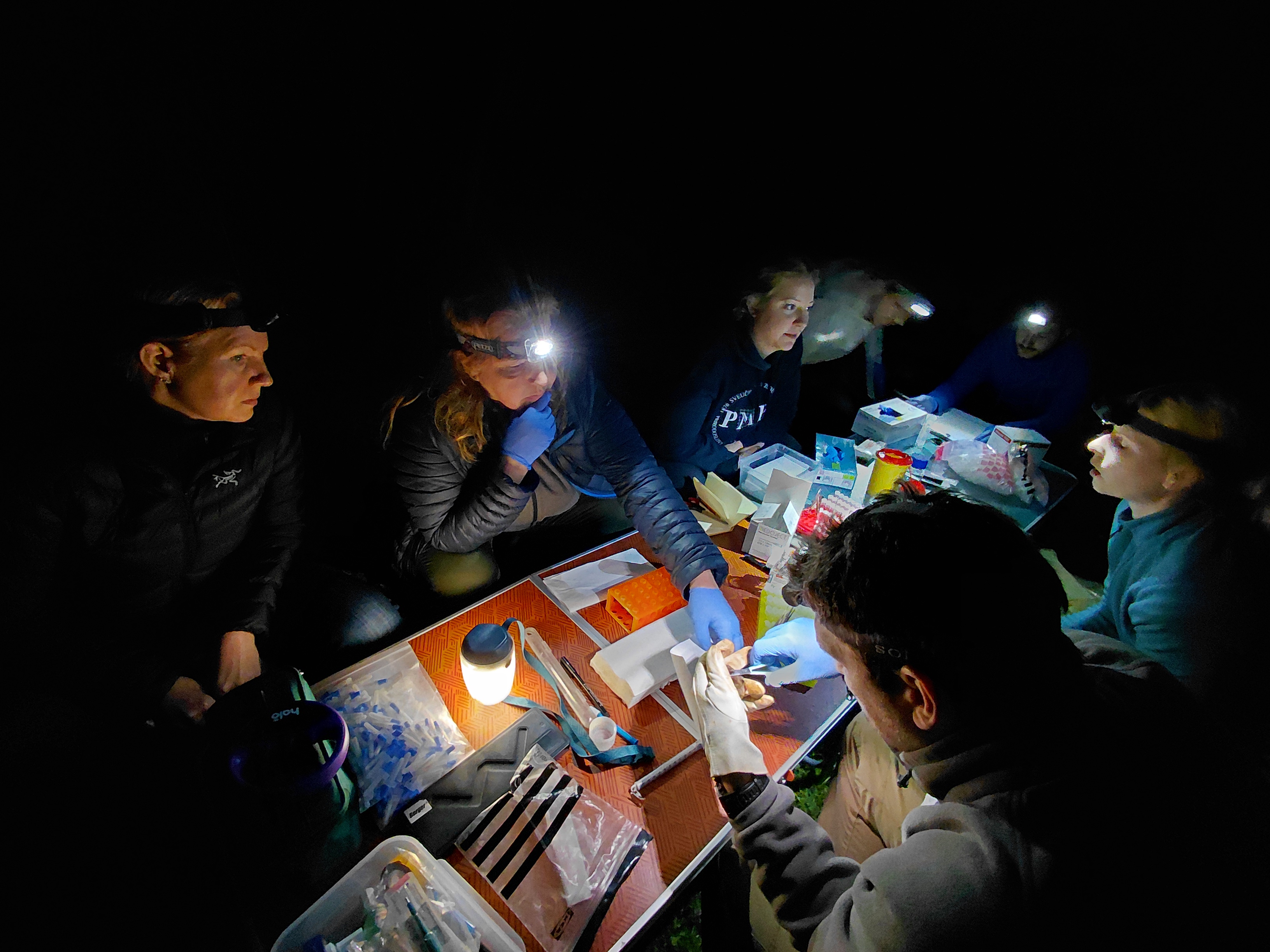 Suradnja na istraživanju šišmiša